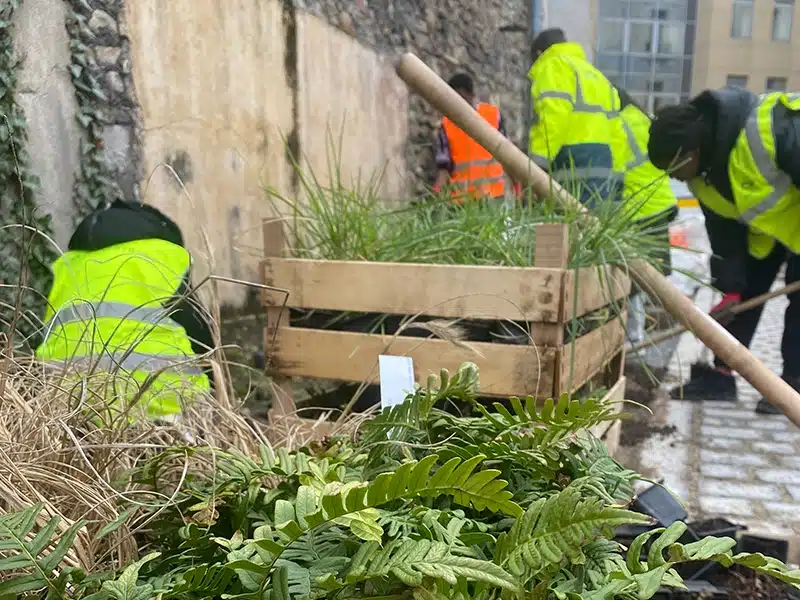 Des élèves du collège Claude Fauriel participent à un atelier plantation dans le jardin Eden de Saint-Etienne.