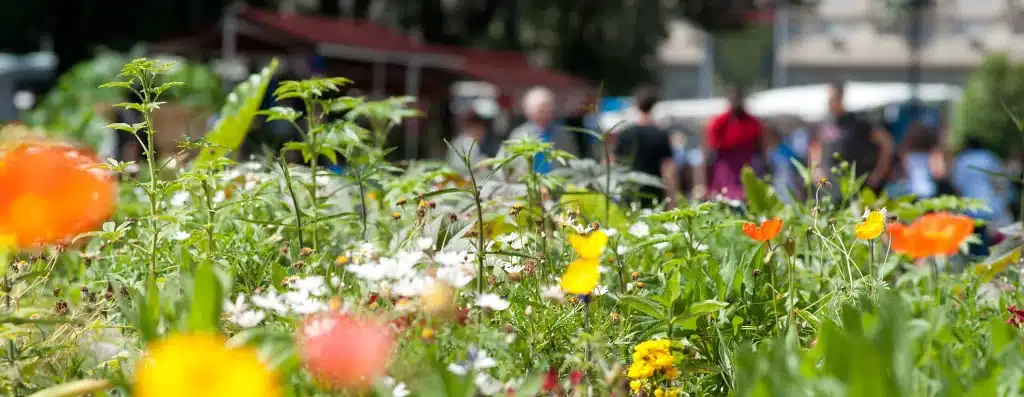 La ville naturellement